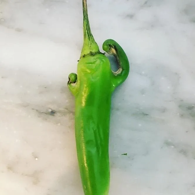 Перець Перець