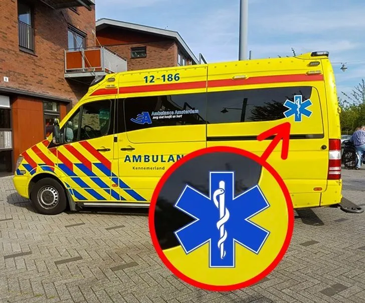 Зірка життя Зірка життя