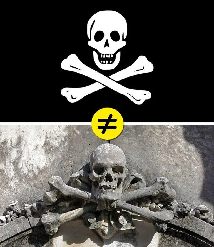 Череп Череп