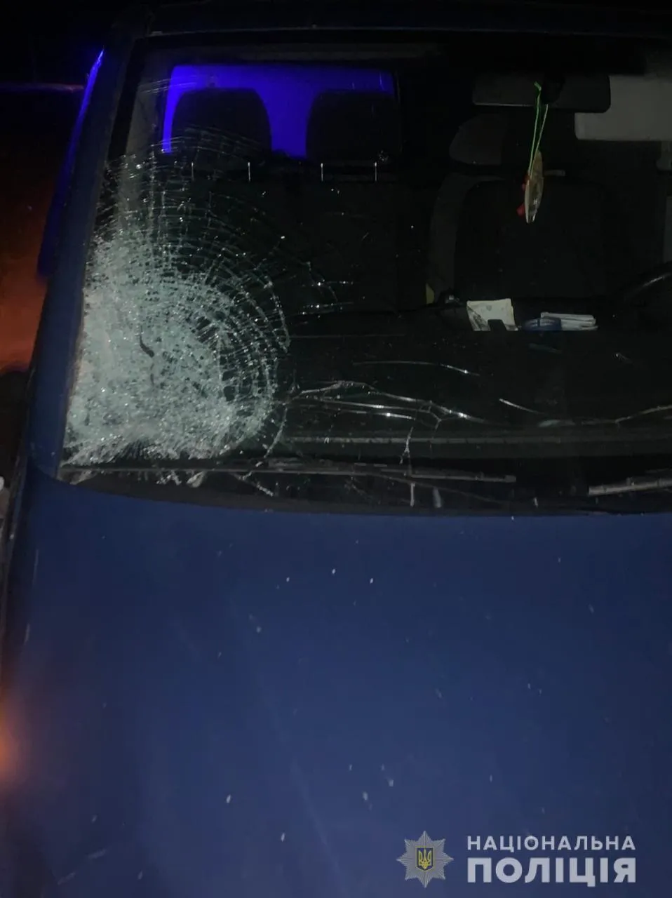 Не помітив на нічній трасі: на Львівщині водій мікроавтобуса на смерть збив чоловіка – фото