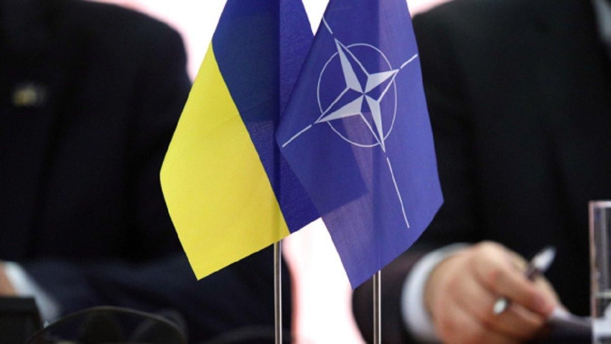 Литва запропонує НАТО надати Україні ПДЧ, – глава МЗС країни
