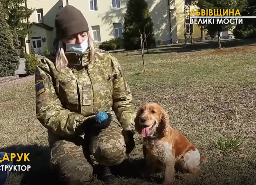 У навчальному центрі працюють зі службовими та мисливськими собаками