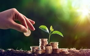 Уряд розширив держпідтримку аграріїв: їм додатково виділять 500 мільйонів гривень