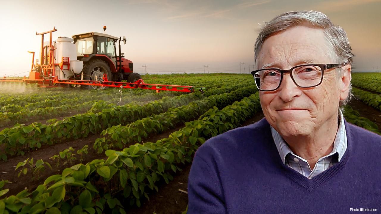 Чому Білла Гейтса називають фермером