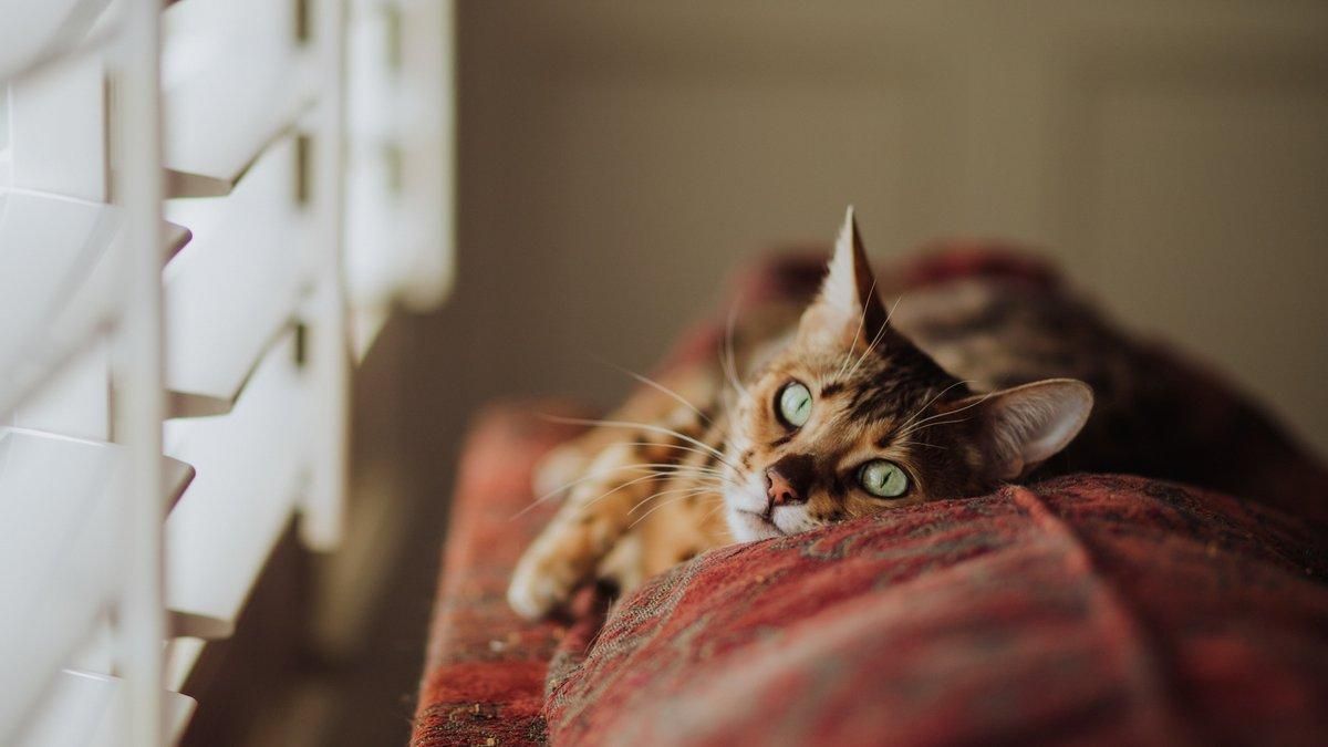 Погода 9 апреля 2021: прогноз от синоптиков Украины Погода 9 апреля 2021: прогноз от синоптиков Украины