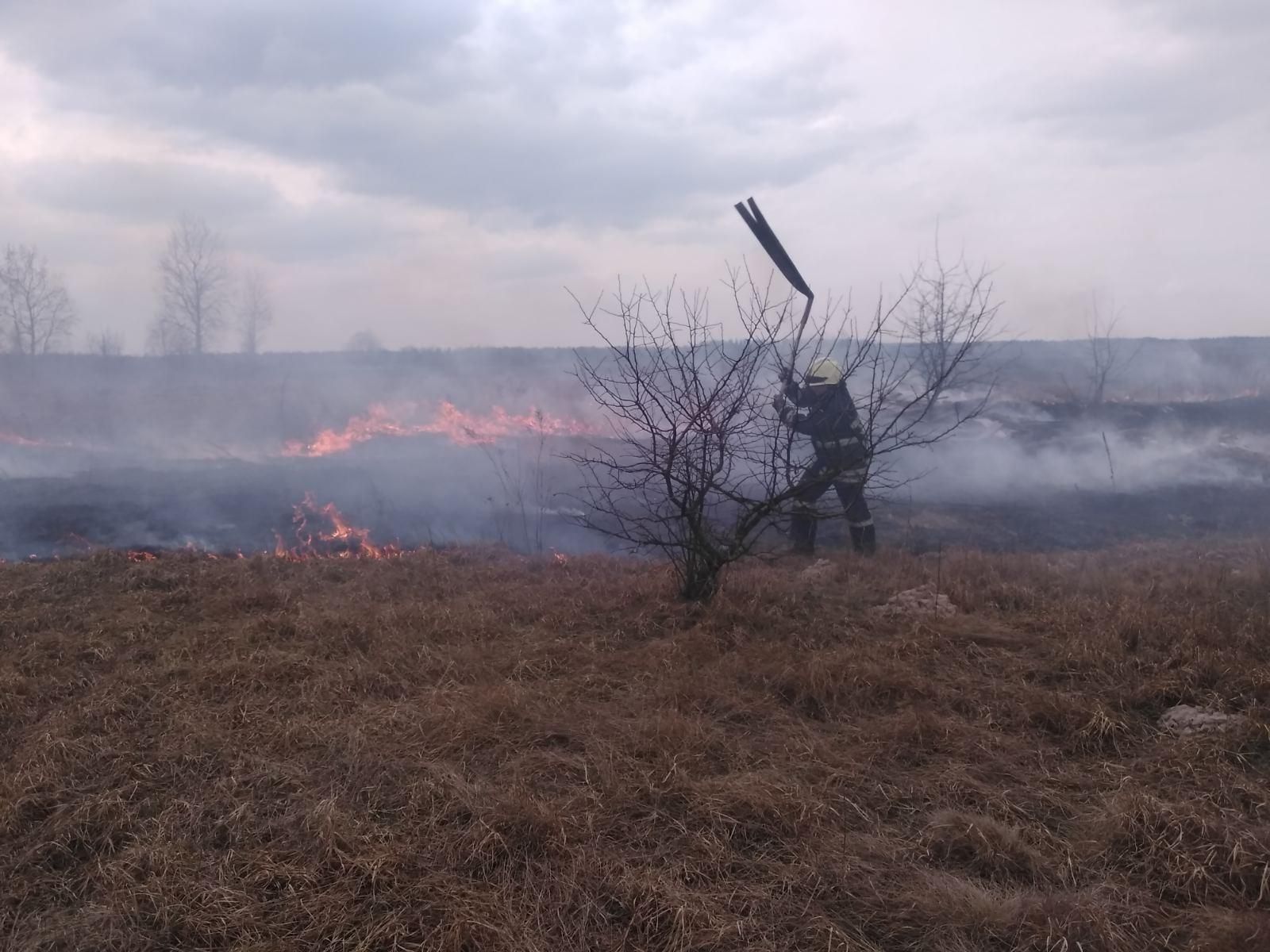 В Україні за добу виявили 60 пожеж сухостою – МВС