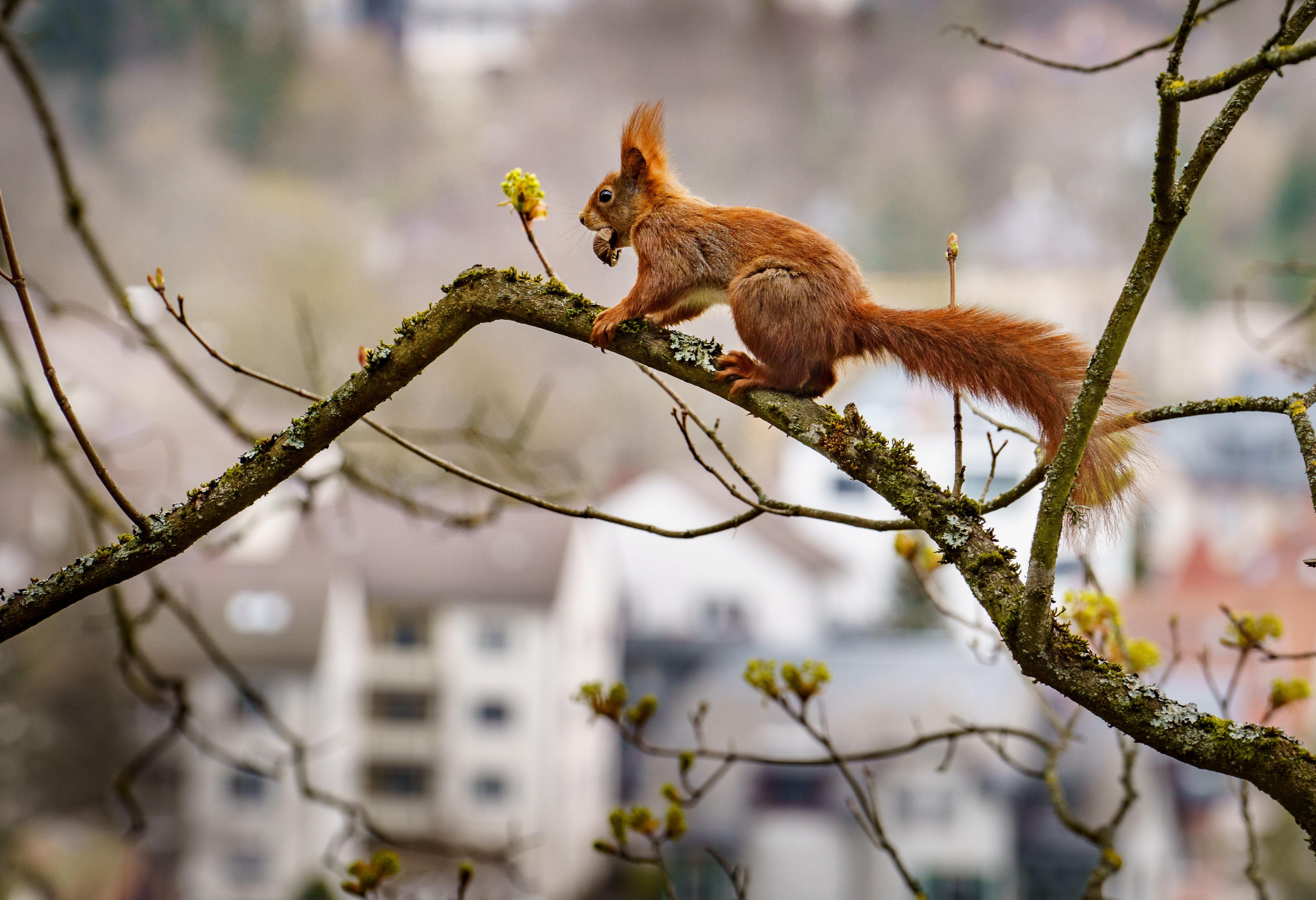 Погода 10 квітня 2021: прогноз від синоптиків України Погода 10 квітня 2021: прогноз від синоптиків України
