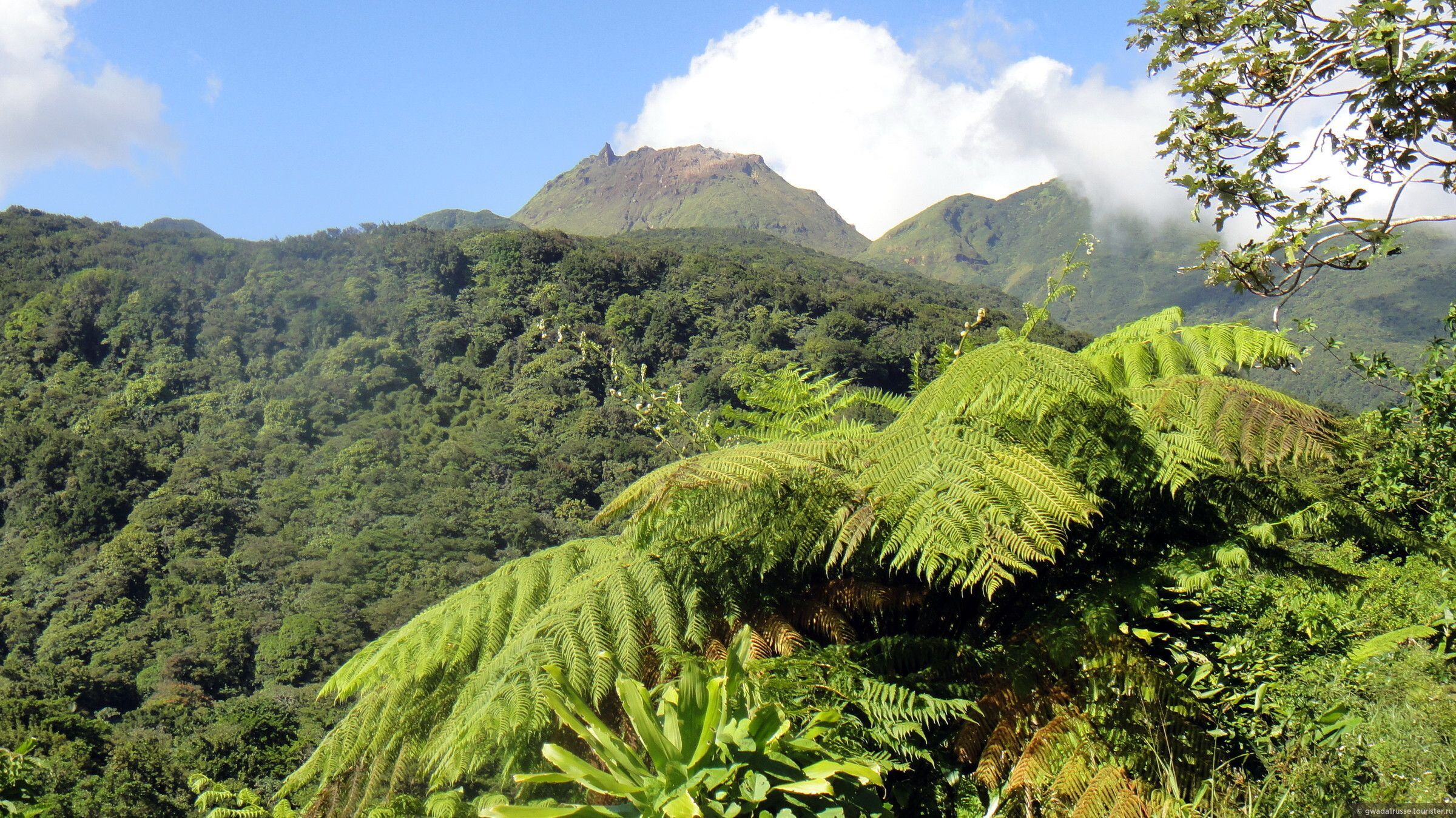 Жителів Сент-Вінсента і Гренадін евакуюють через вулкан, що прокинувся Жителів Сент-Вінсента і Гренадін евакуюють через вулкан, що прокинувся