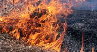На Луганщині знову все запалало: горить сухостій  – відео