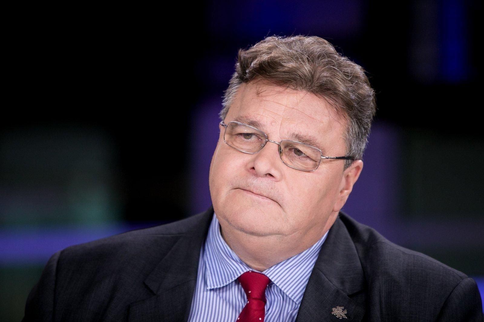 В Литве призвали Запад к вооруженной поддержке Украины В Литве призвали Запад к вооруженной поддержке Украины