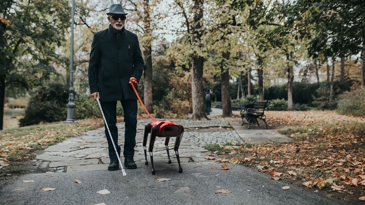 Китайці скопіювали робопса Spot Boston Dynamics, але зробили дешевшим Китайці скопіювали робопса Spot Boston Dynamics, але зробили дешевшим