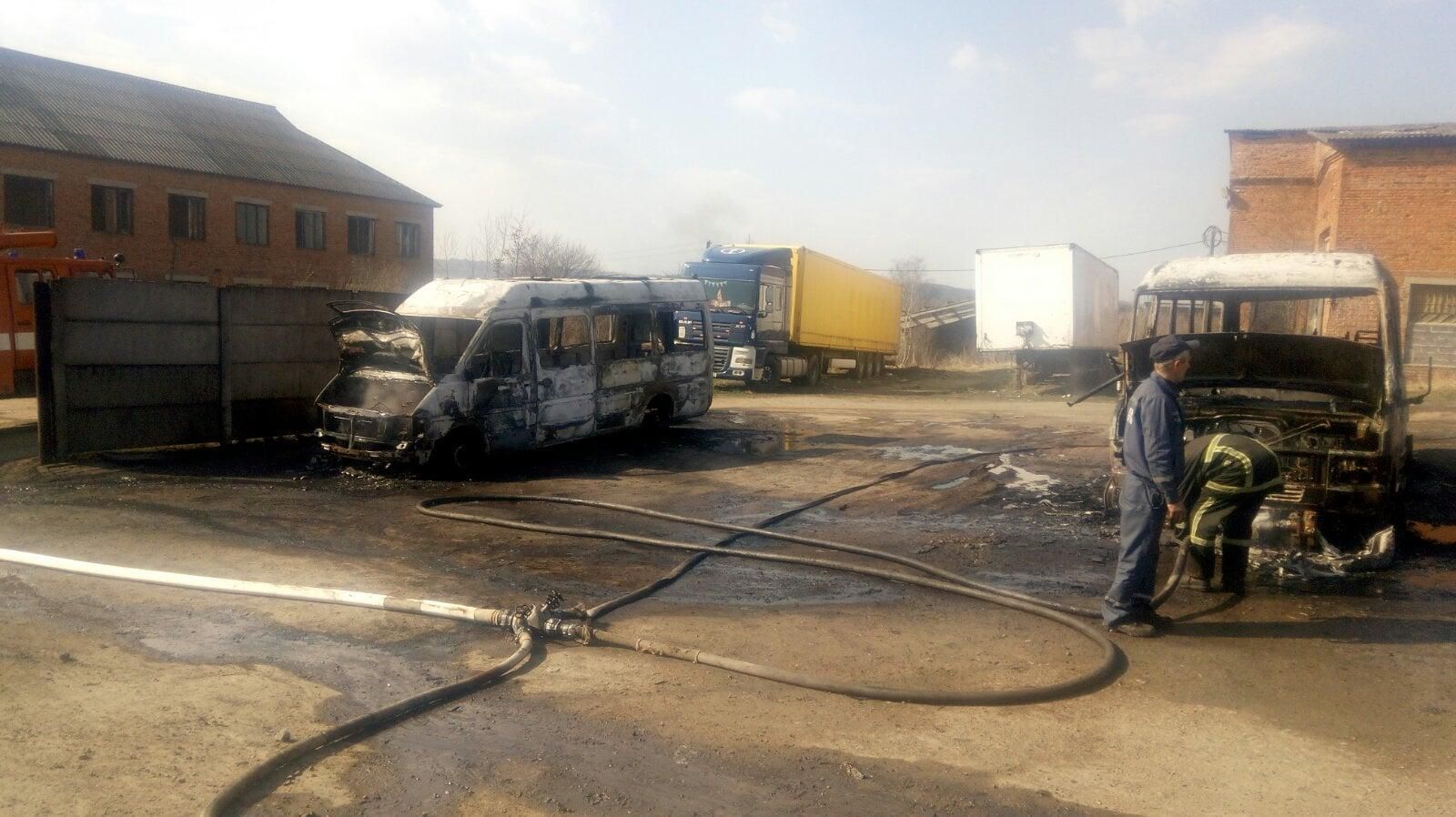 На Львівщині через підпал сухої трави вщент згоріли 3 автобуси: фото