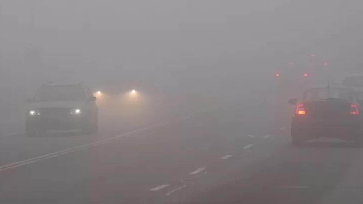 В Киеве туман: советы для водителей В Киеве туман: советы для водителей