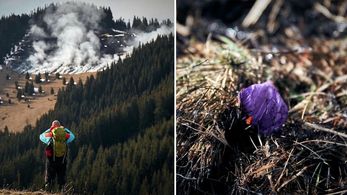 У Карпатах спалахнула пожежа на горі Кострич: фото, відео