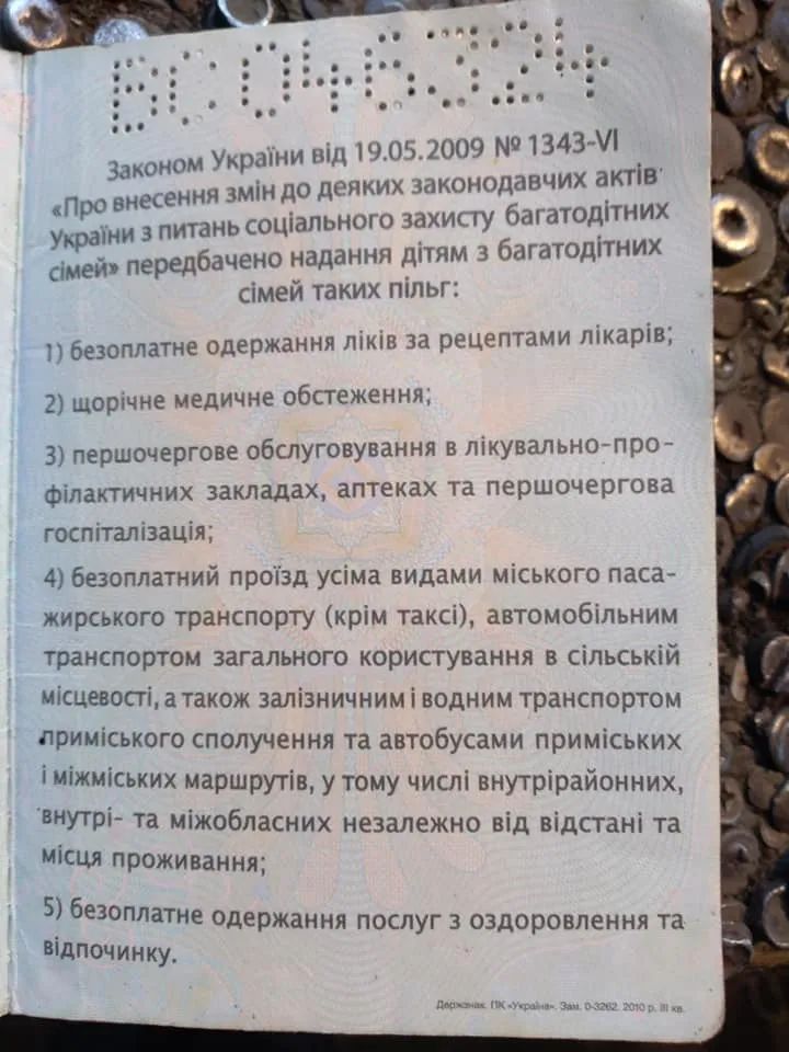 Не хотів везти за посвідченням: водій маршрутки вигнав з салону дитину з багатодітної сім’ї