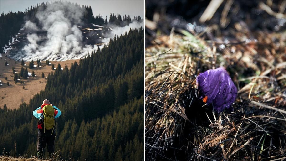 В Карпатах вспыхнул пожар на горе Кострич: фото, видео