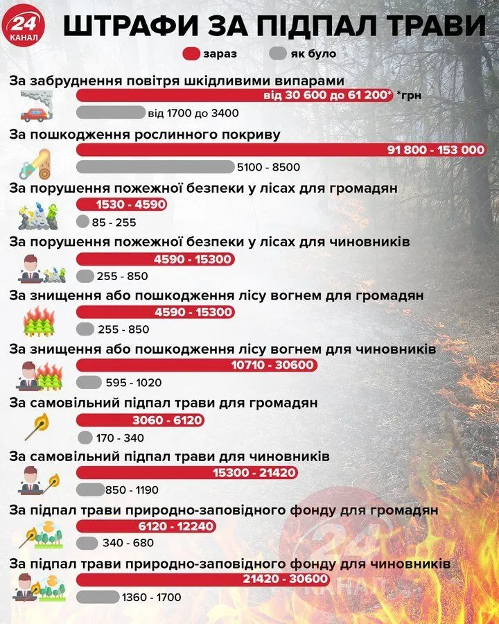 Штрафи за підпал трави / Інфографіка 24 каналу