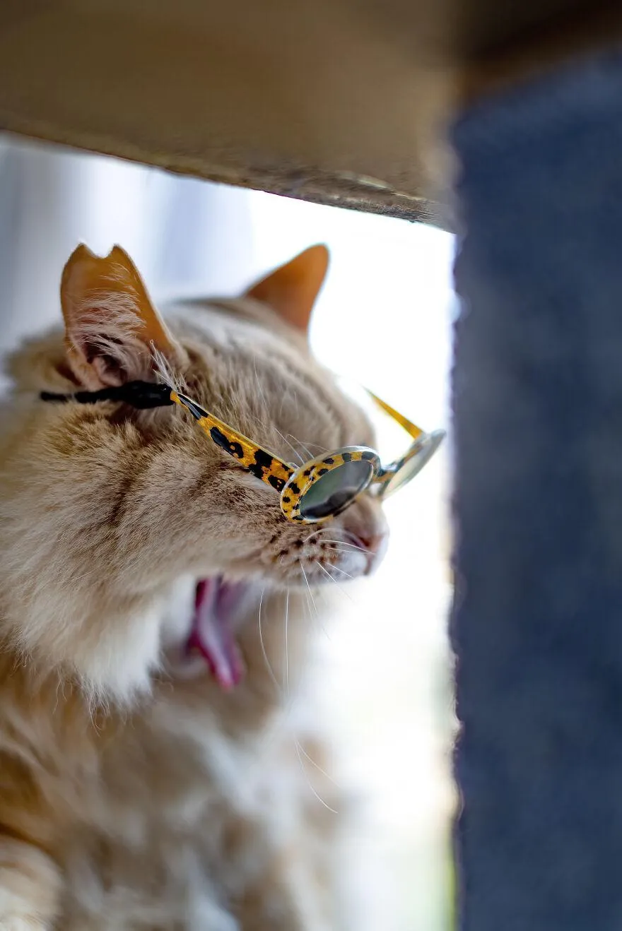 Фото Boredpanda Фото Boredpanda