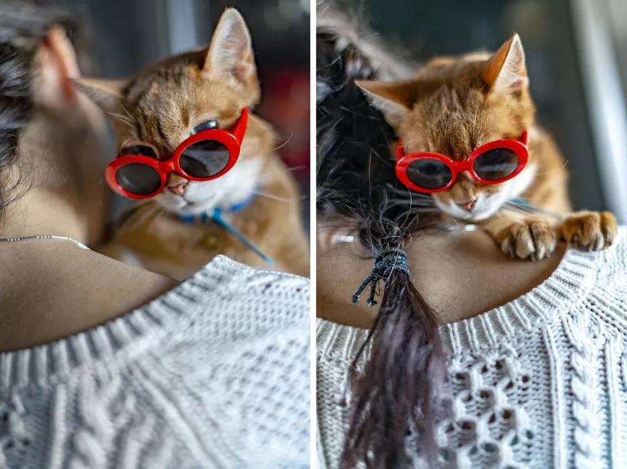 Принцессе Елидженс идет этот стильный аксессуар Принцессе Елидженс идет этот стильный аксессуар