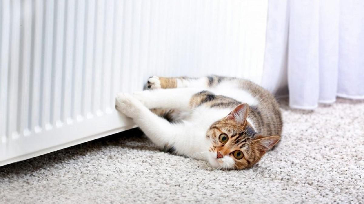 У Києві завершується опалювальний сезон У Києві завершується опалювальний сезон