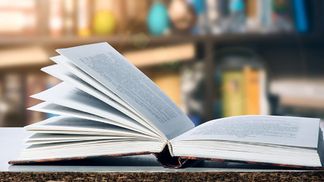 Історію про Майдан перепишуть у всіх підручниках: Портнов остаточно виграв суд проти МОН