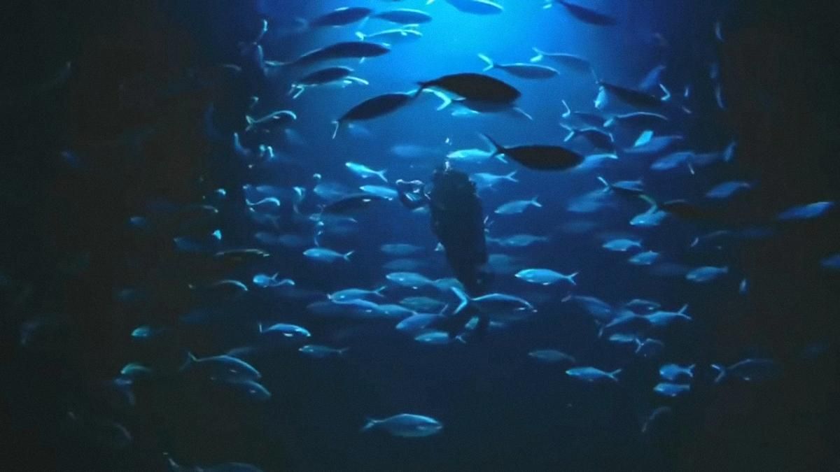 Xiaomi розпакувала Mi 11 Ultra під водою і показала захист від вологи Xiaomi розпакувала Mi 11 Ultra під водою і показала захист від вологи