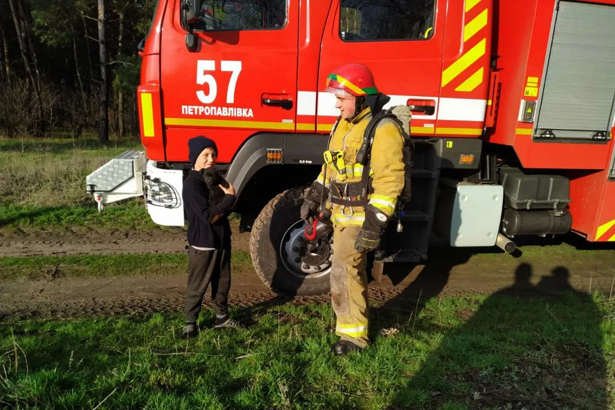 Врятований пес ДСНС Врятований пес ДСНС