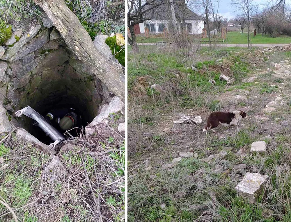 врятований пес в Покровському районі Дніпропетровщини врятований пес в Покровському районі Дніпропетровщини