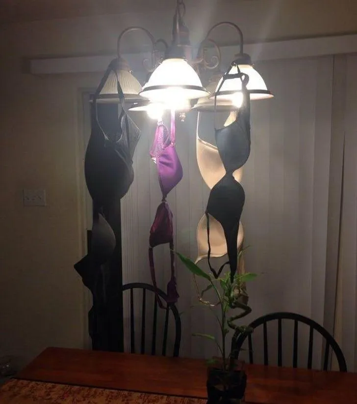 Чоловікова винахідливість Чоловікова винахідливість