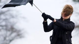 Могут падать деревья и исчезать свет: на Днепропетровщине объявили штормовое предупреждение