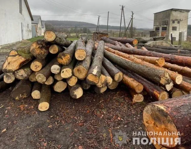 СБУ затримала на хабарі голову одного з лісгоспів Львівщини: фото
