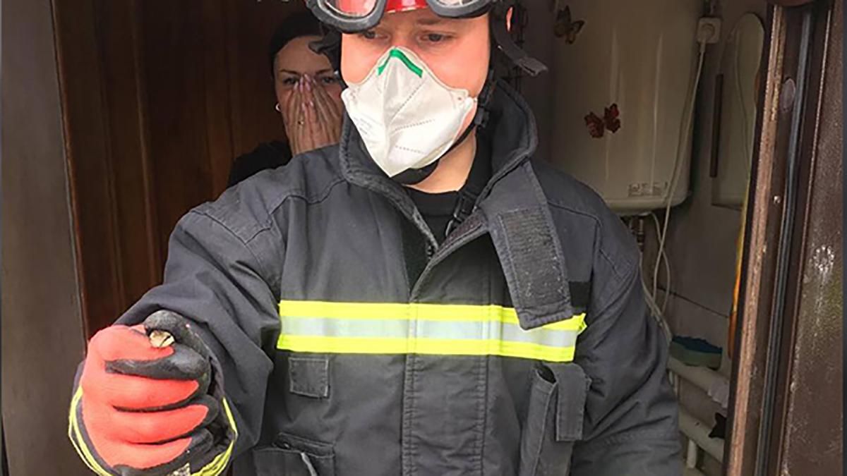 У Дніпрі в будинок залізла змія: тримали шваброю У Дніпрі в будинок залізла змія: тримали шваброю