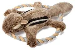 Білка літюча Білка літюча