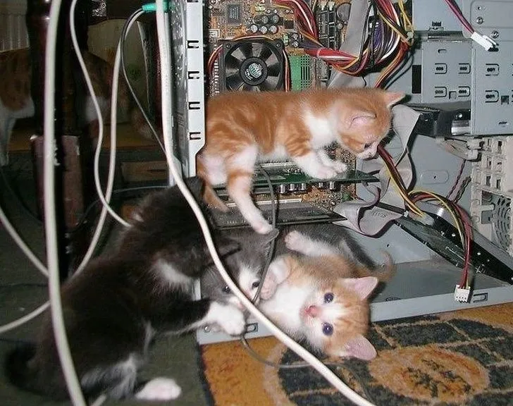 Завжди допоможуть в скрутній ситуації Завжди допоможуть в скрутній ситуації