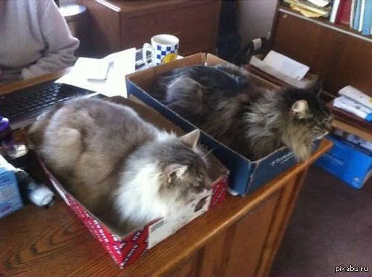 Але проблему вирішили за допомогою коробок Але проблему вирішили за допомогою коробок