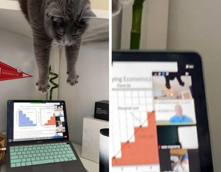 Як перестати сміятися? Як перестати сміятися?