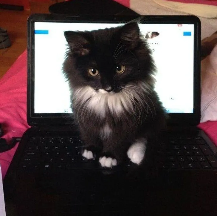 Фото Reddit Фото Reddit