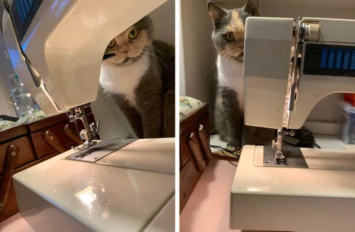 А твій керівник дуже суворий та не зводить з тебе очей А твій керівник дуже суворий та не зводить з тебе очей