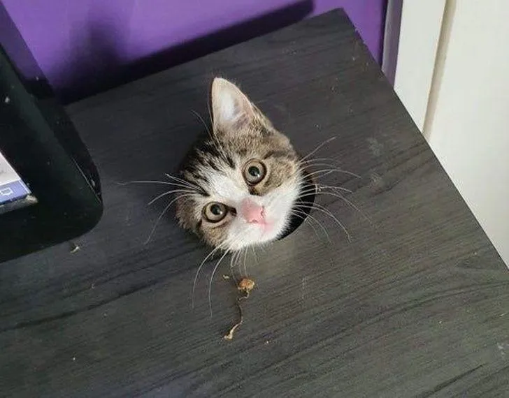 Фото Reddit Фото Reddit