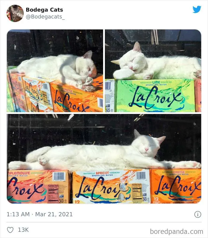 Ну просто красень Ну просто красень