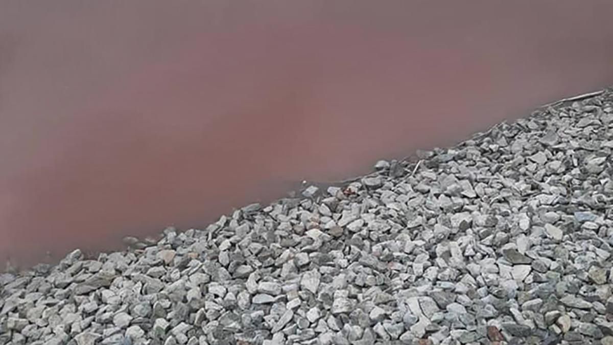 На Дніпропетровщині ставок почервонів від крові тварин і відходів На Дніпропетровщині ставок почервонів від крові тварин і відходів