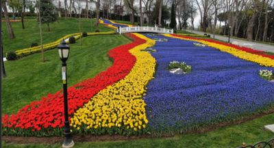 У столиці Туреччини висадили 8 мільйонів тюльпанів: кольорові фото