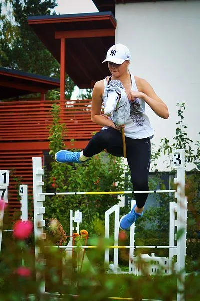 Перегони на конях Перегони на конях