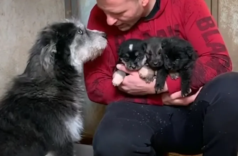 Дружная семья, которую спасли Дружная семья, которую спасли