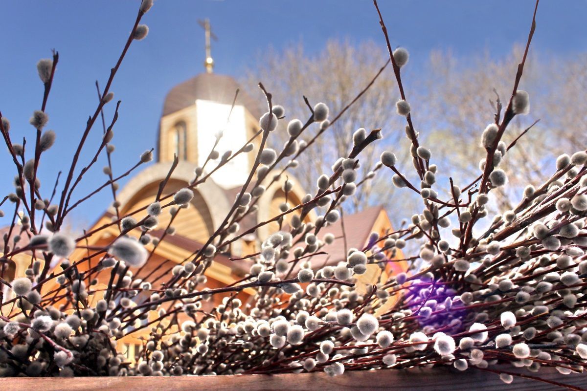 Вербна неділя 2021: у Львові церкви оприлюднили розклад богослужінь Вербна неділя 2021: у Львові церкви оприлюднили розклад богослужінь