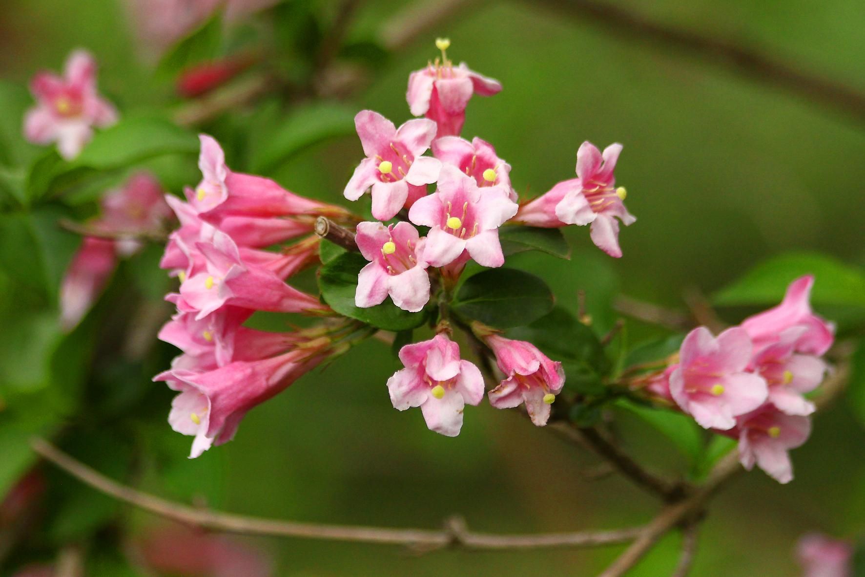 Погода 25 квітня 2021: прогноз від синоптиків України Погода 25 квітня 2021: прогноз від синоптиків України
