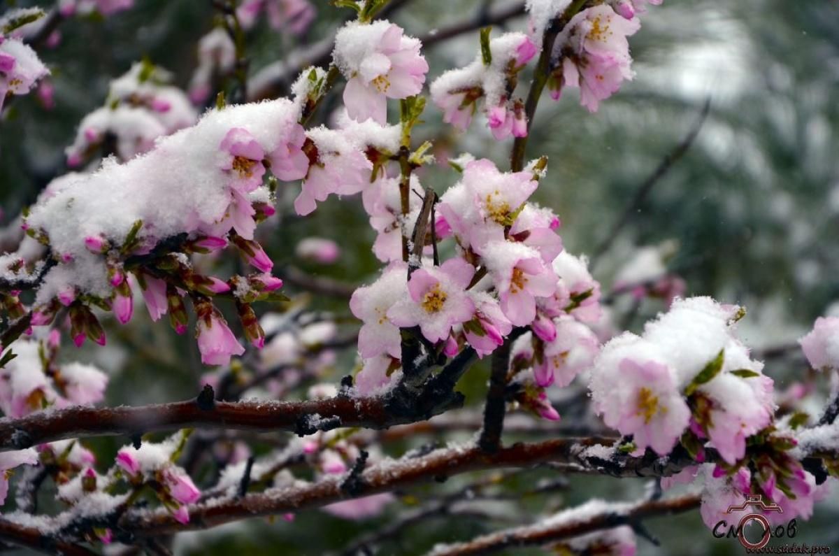 Погода 25 апреля 2021: прогноз от синоптиков Украины Погода 25 апреля 2021: прогноз от синоптиков Украины