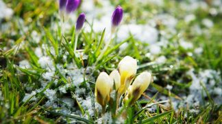 Прогноз погоды на 24 апреля: будет прохладно, в некоторых областях выпадет мокрый снег