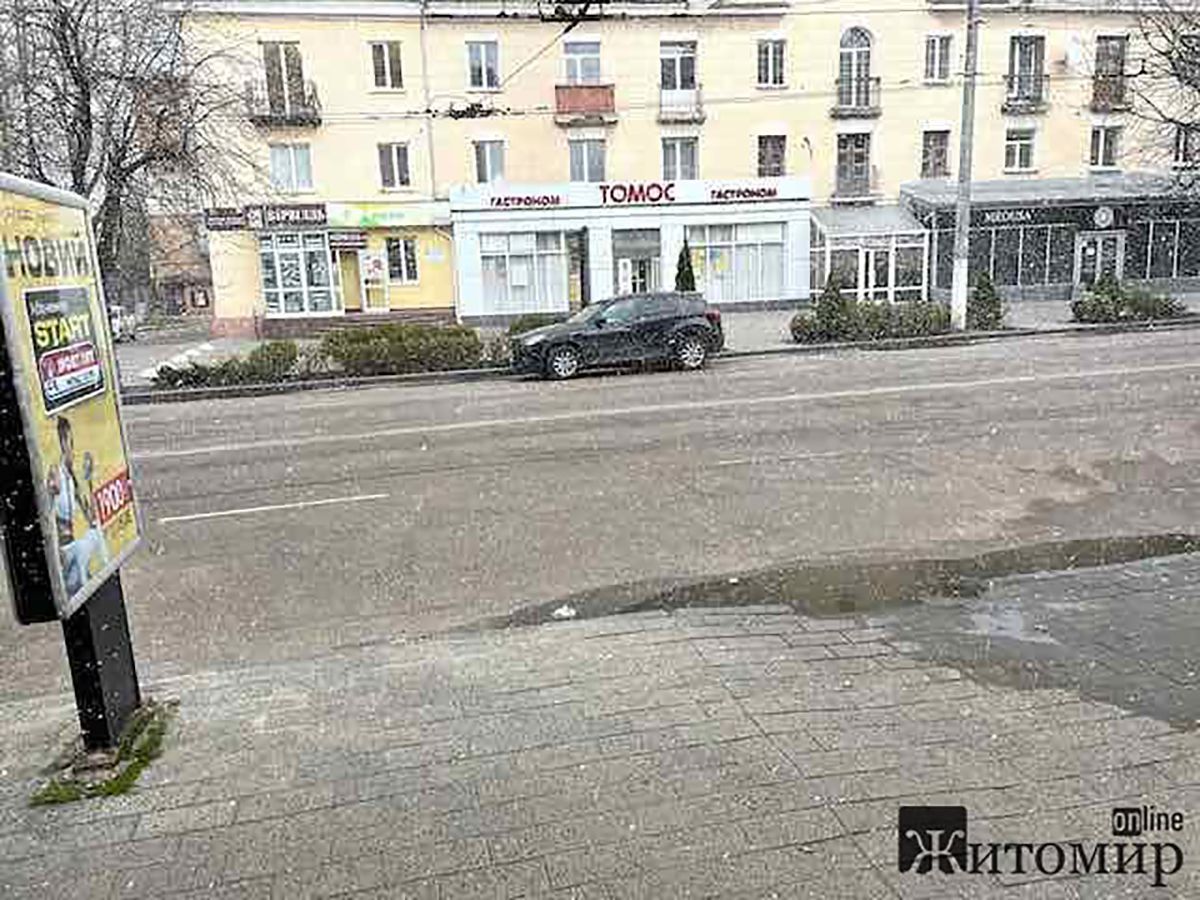 В апреле на Житомирщине и Черниговщине пошел снег фото, видео