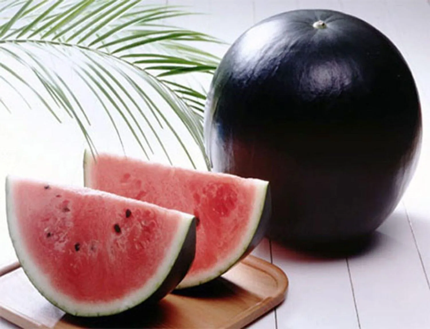 Кавун Денсуке Кавун Денсуке